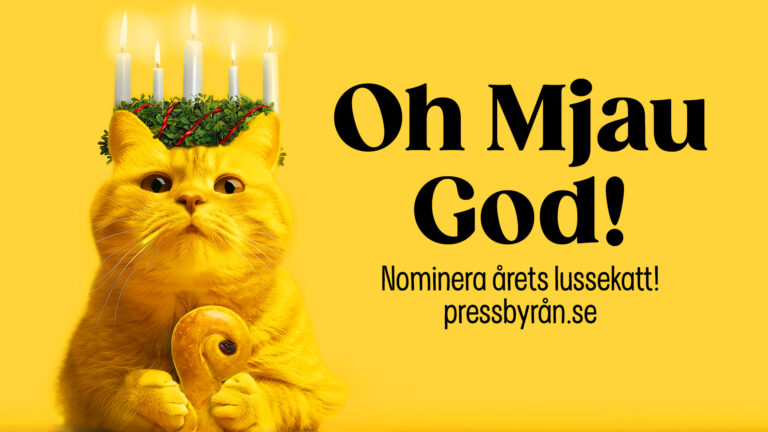 Pressbyrån kattlussetävling tävla med din lussekatt 2024